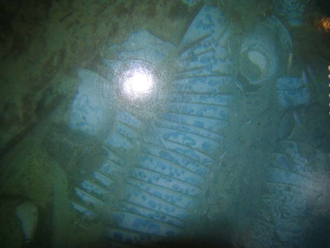 NANKING CARGO blue and white bowl circa 1750 — image 5
